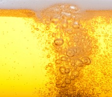 shutterstock_124784653