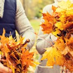 Platonic Fall Girl Friends Application: The Answers