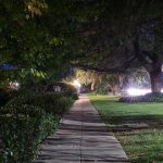 The Cubicle Warrior's Double Life: Tinder