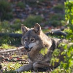 I Got Fucked Up Last Night