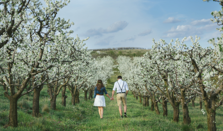 A Guy's Guide To Wedding Planning: Engagement Photos