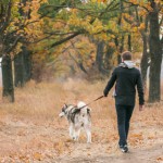 So I Puked In Front Of A School Bus Full Of Children This Morning