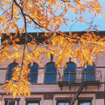 Things Girls Do After Graduation: Father's Blessing