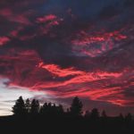 Requiem For A Lost Parent